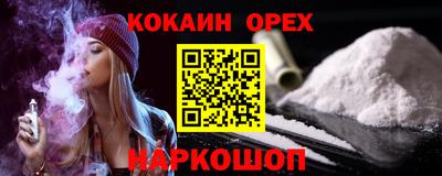 крисы Кулебаки