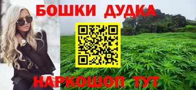 крисы Кулебаки