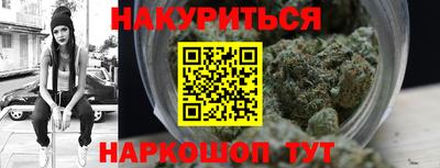 крисы Кулебаки