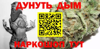 крисы Кулебаки