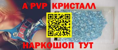 крисы Кулебаки