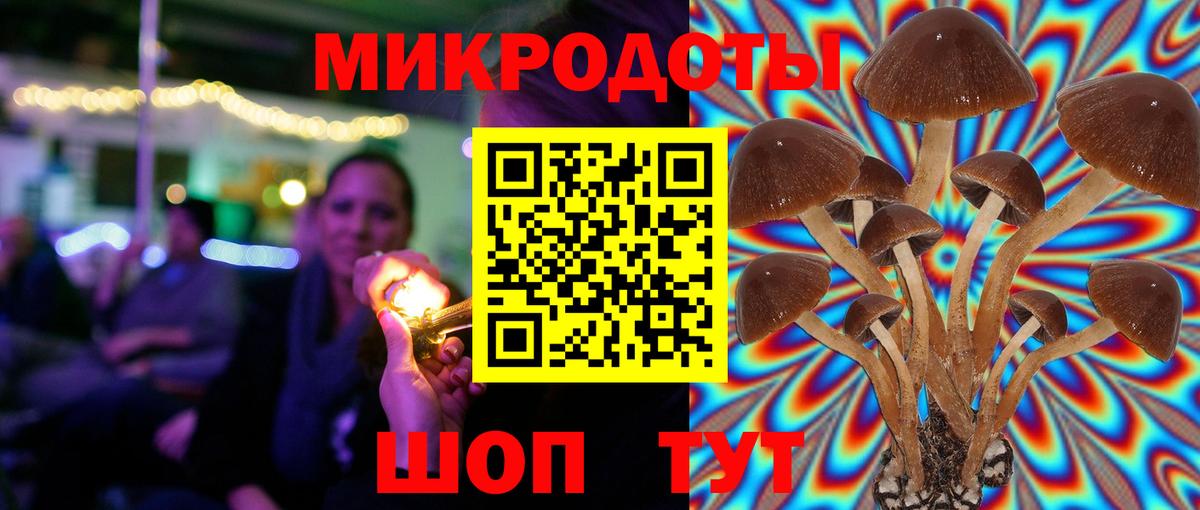Псилоцибиновые грибы прущие грибы  Вход с VPN  Будённовск  Псилоцибиновые грибы Magic Shrooms 